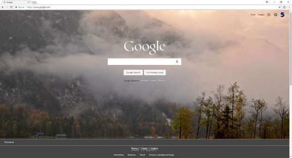 Background Image for Google Homepage screenshot