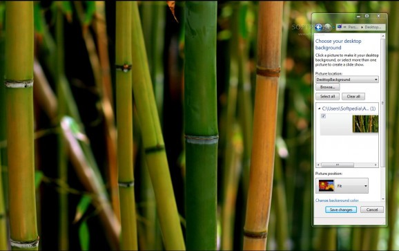 Bamboo screenshot