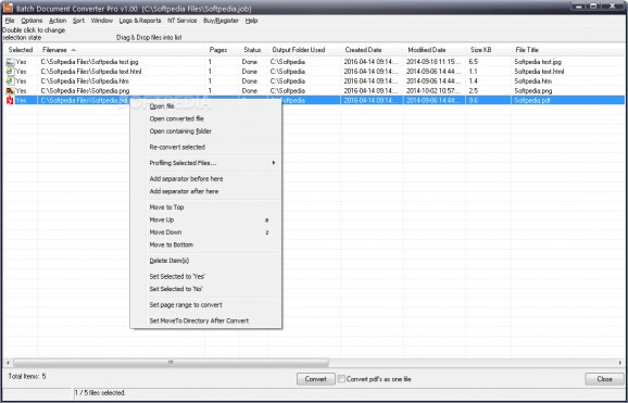 Batch Document Converter Pro screenshot