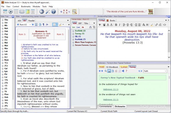 Bible Analyzer screenshot