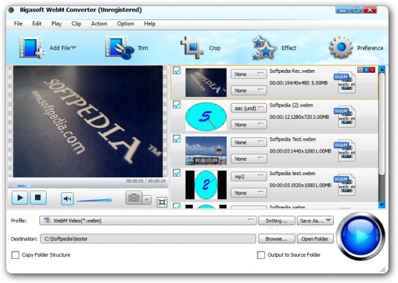 Bigasoft WebM Converter screenshot