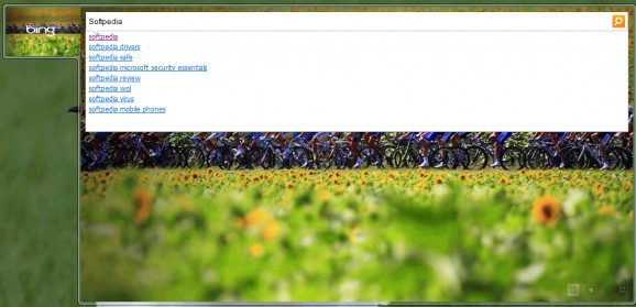 Bing Image Of Day Gadget screenshot