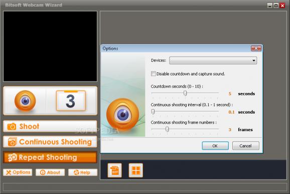 Bitsoft Webcam Wizard screenshot