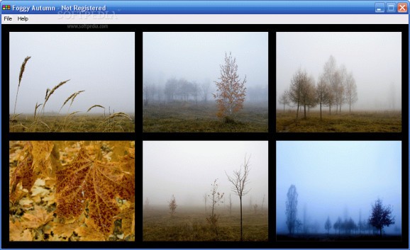 Bizimg Foggy Autumn screenshot