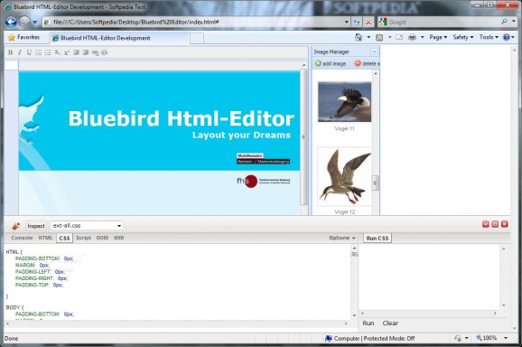 Bluebird Editor screenshot