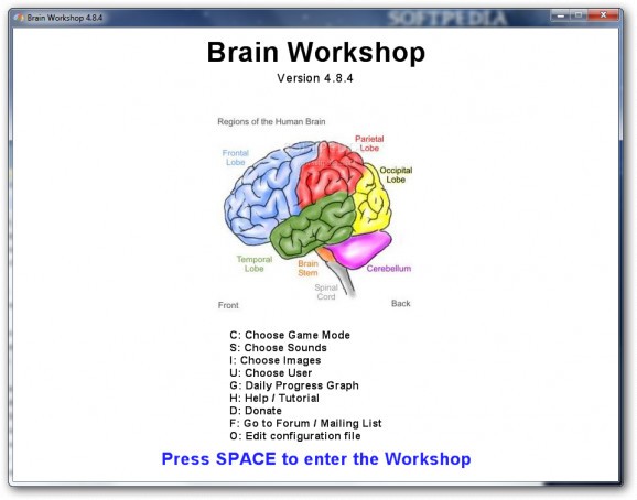 Brain Workshop screenshot