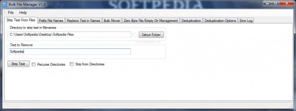 Bulk File Manager screenshot