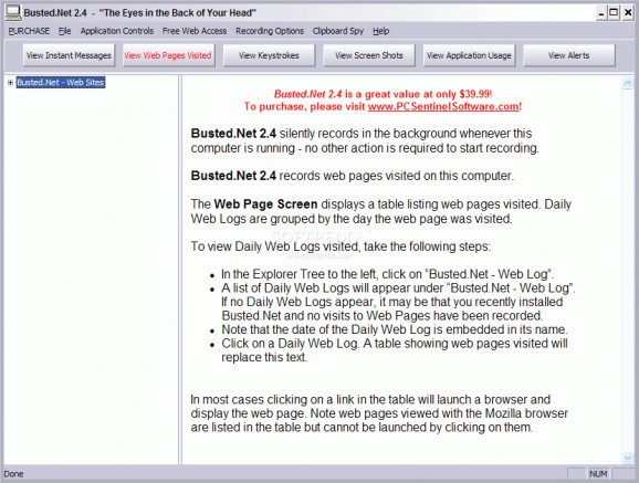 Busted.Net: Keylogger and Instant Message Monitor screenshot