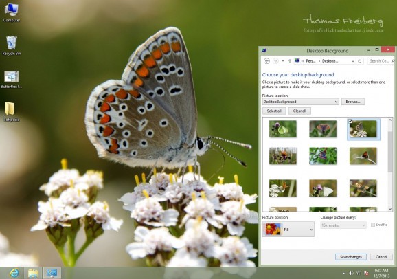 Butterflies of Germany Theme screenshot