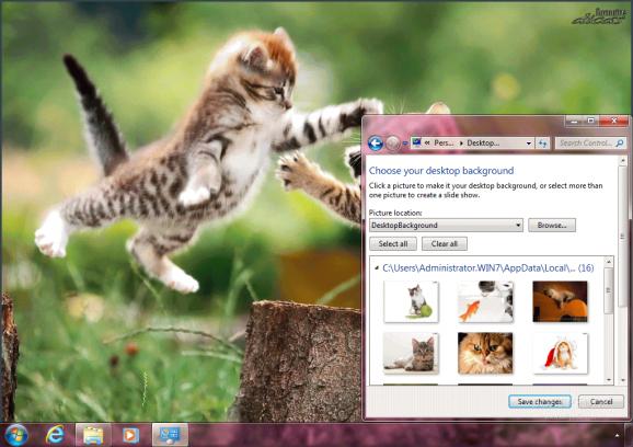 Cats Theme screenshot