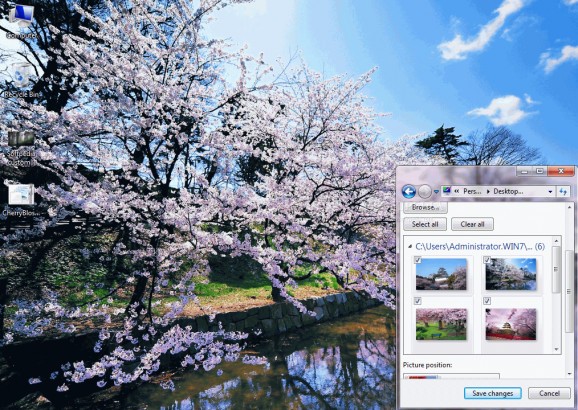 Cherry Blossoms of Japan Theme screenshot