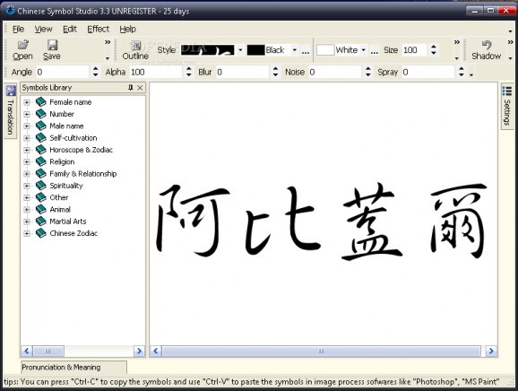 Chinese Symbol Studio screenshot