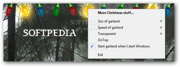 Christmas Garland Lights screenshot