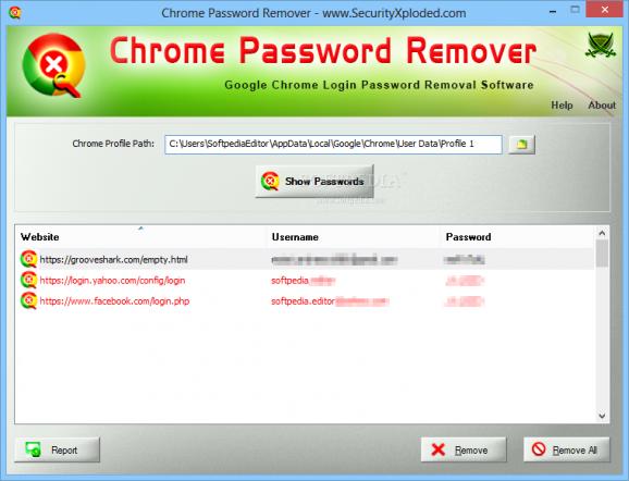 Chrome Password Remover screenshot