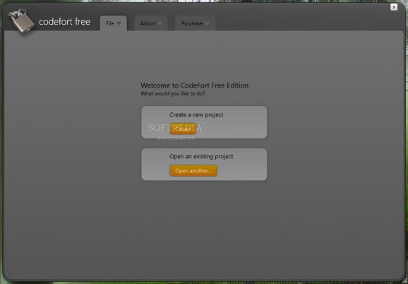 CodeFort Free Edition screenshot