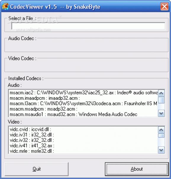 CodecViewer screenshot