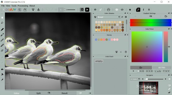 CODIJY Colorizer Pro screenshot