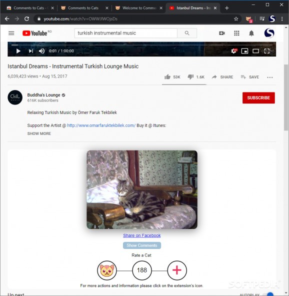 Comments to Cats screenshot