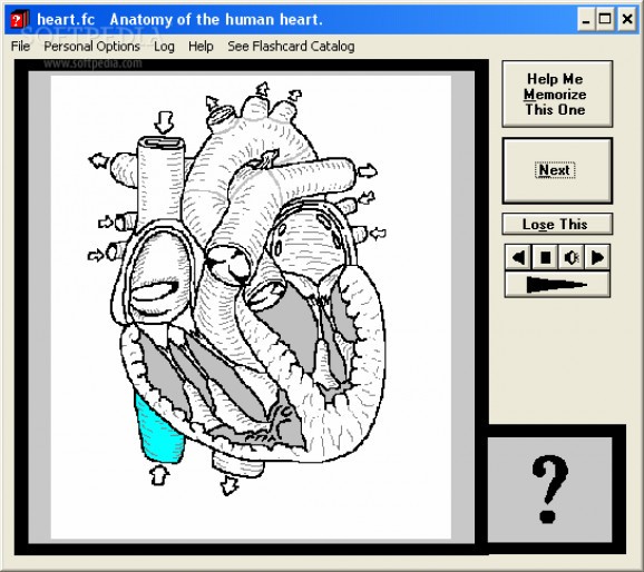 Computer Flashcards of the anatomy of the human heart screenshot