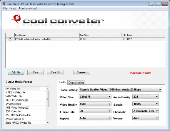 Cool Free FLV Flash to All Video Converter screenshot
