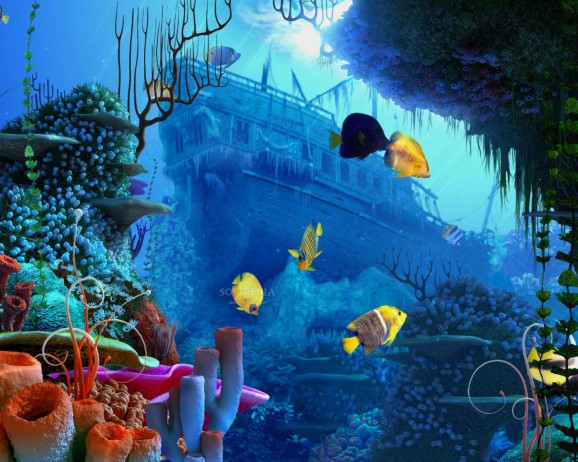 Coral Reef 3D Screensaver screenshot