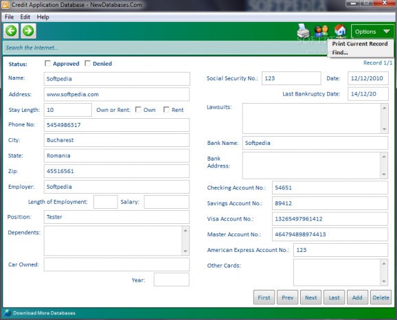 Credit Application Database screenshot