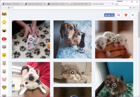 Cute Animal Tab for Chrome screenshot