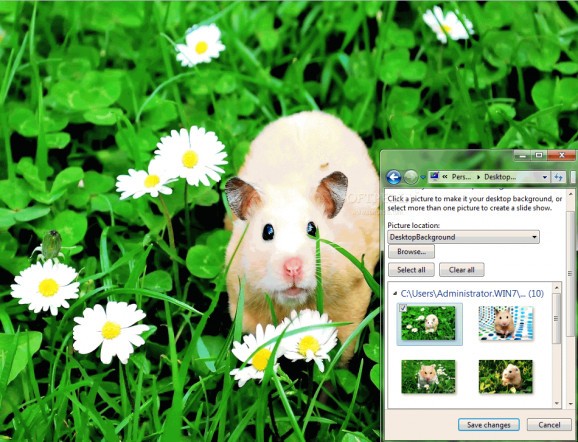 Cute Hamsters Windows 7 Theme screenshot