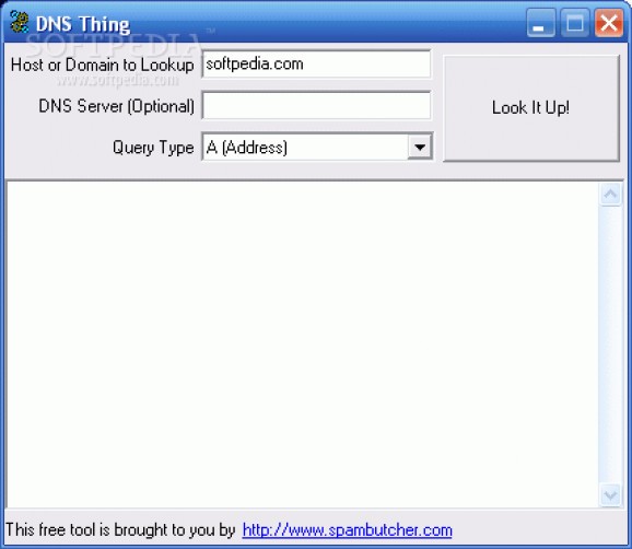 DNS Thing screenshot