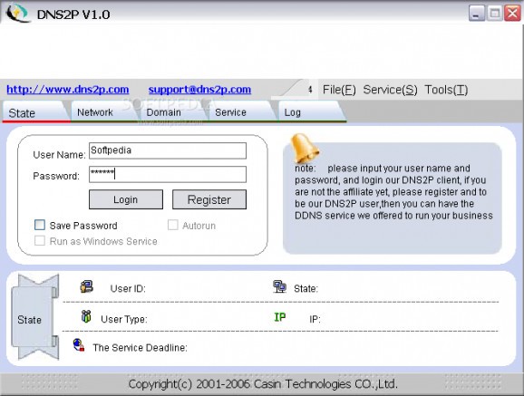 DNS2P screenshot