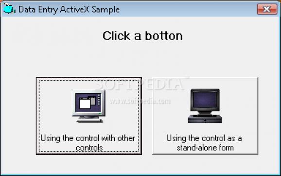 Data Entry ActiveX screenshot