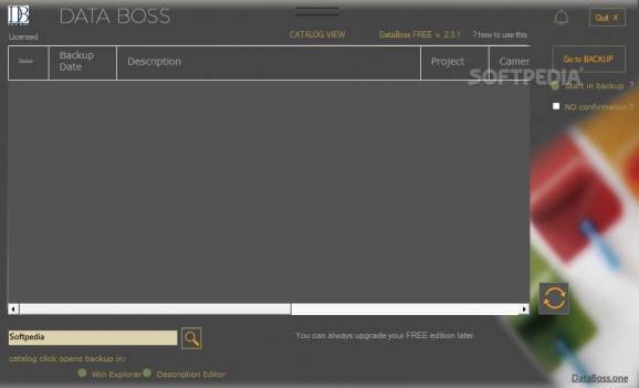 DataBoss screenshot