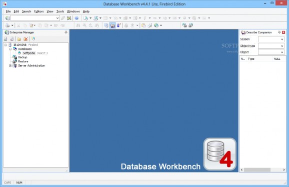 Database Workbench Lite for Firebird screenshot