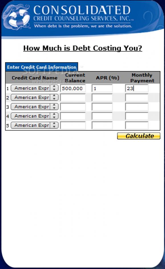 Debt Payoff Calculator screenshot