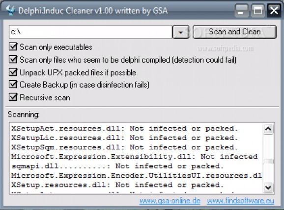 GSA Delphi Induc Cleaner screenshot