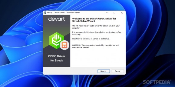 Devart ODBC Driver for Streak screenshot
