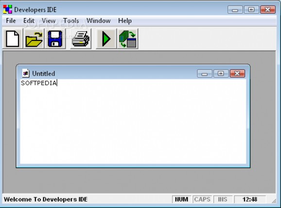 Developers IDE screenshot