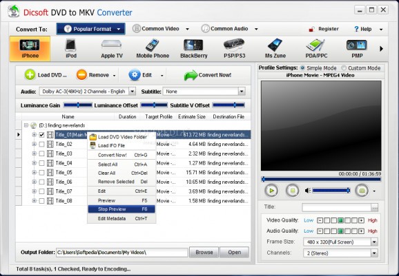 Dicsoft DVD to MKV Converter screenshot