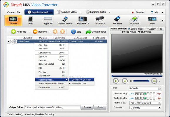 Dicsoft MKV Video Converter screenshot