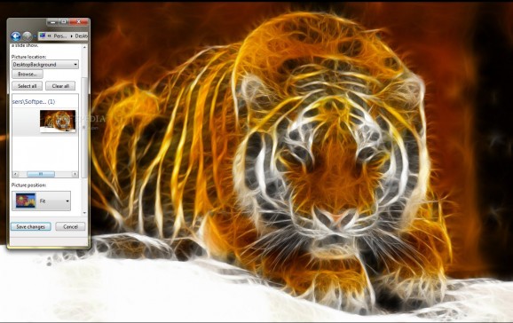 Digital Tiger screenshot