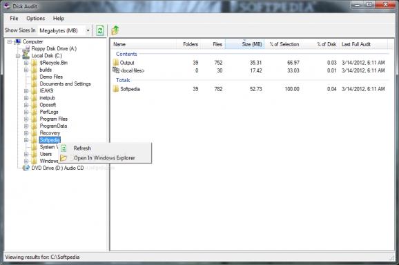Disk Audit screenshot