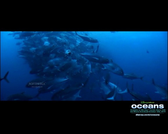 Disney Nature-Oceans Screensaver screenshot