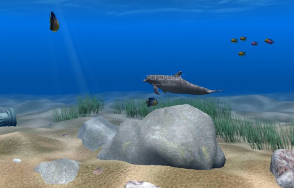 Dolphin Aqua Life 3D Screensaver screenshot