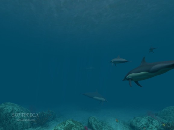 Dolphins 3D Screensaver screenshot