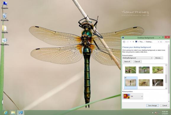 Dragonflies Theme screenshot