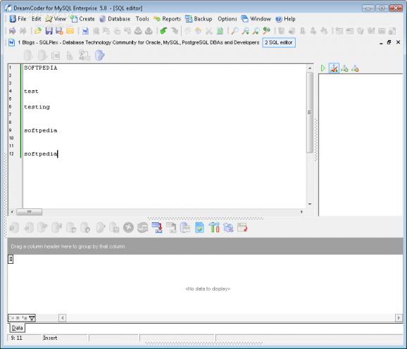 DreamCoder for MySQL Enterprise screenshot