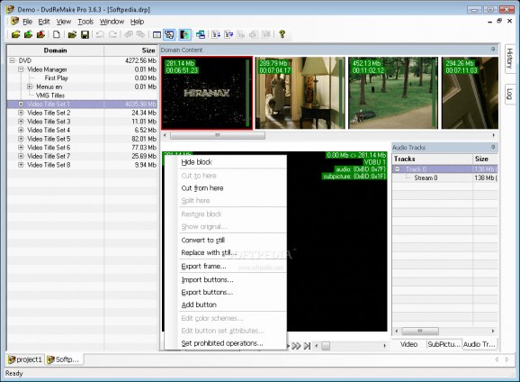 DvdReMake Pro screenshot
