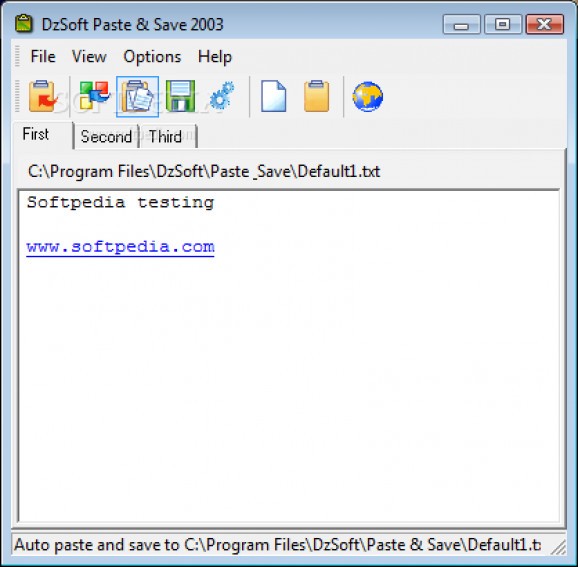 DzSoft Paste & Save screenshot