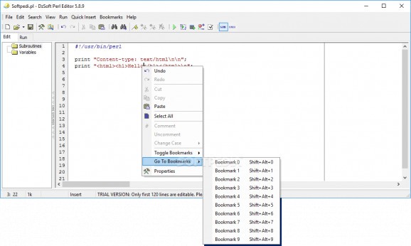DzSoft Perl Editor screenshot