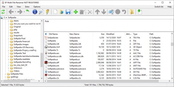 EF Multi File Renamer screenshot